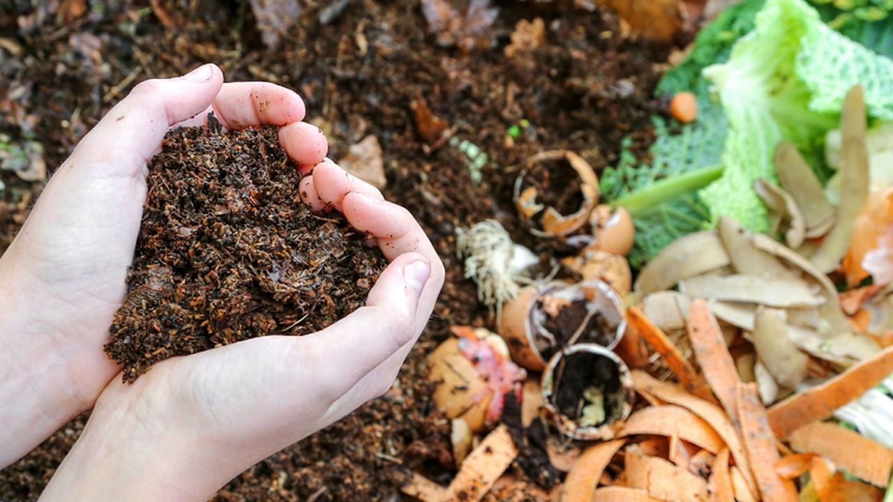 Compostagem: aprenda como fazer em casa