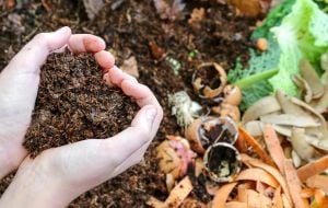 Compostagem: aprenda como fazer em casa