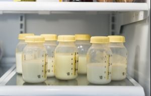 Leite materno: confira dicas para guardar na geladeira de uma forma segura