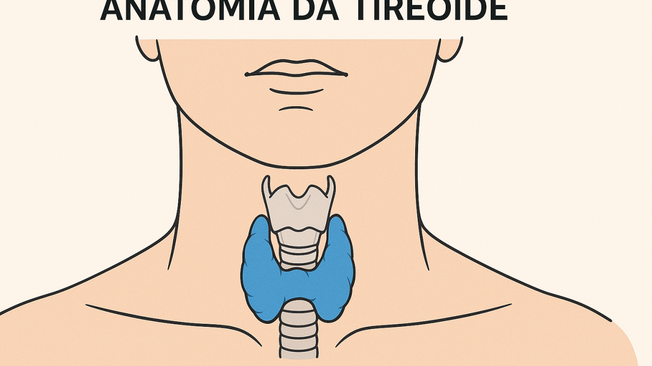 Tireoide: Sintomas, diagnóstico e tratamentos essenciais