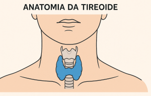 Tireoide: Sintomas, diagnóstico e tratamentos essenciais