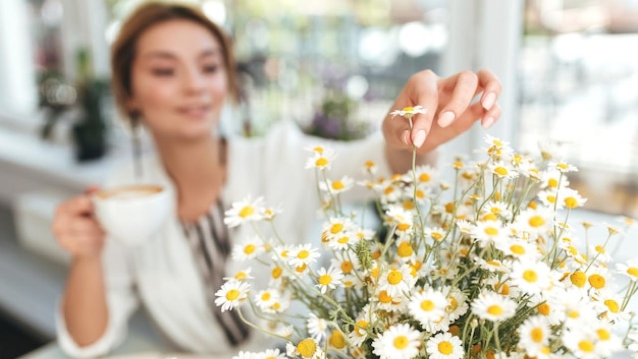 Camomila: O segredo natural para uma pele radiante aos 50+