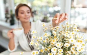 Camomila: O segredo natural para uma pele radiante aos 50+