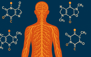 7 Estratégias científicas para neutralizar os efeitos da cafeína