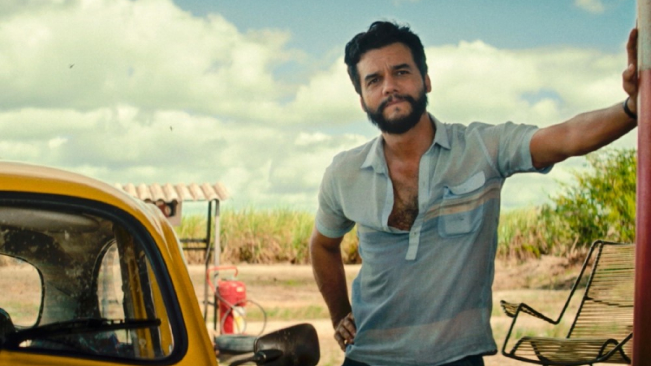 Cinema brasileiro disputa Oscar: Conheça os 6 finalistas de 2026