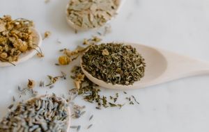 7 Anti-inflamatórios brasileiros comprovados pela ciência