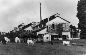 A cidade perdida de Henry Ford na Amazônia que virou lenda