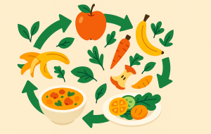 Casca, talo e folha: Transforme sobras em receitas gourmet sem gastar