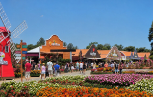 Expoflora 2026 em Holambra: ingressos, horários e como planejar um bate-volta em setembro