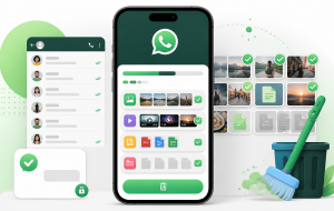 WhatsApp ocupando muito espaço: como limpar arquivos sem apagar conversas importantes