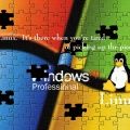 Windows Linux