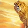 Leão, O Rei