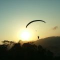 Paraglider