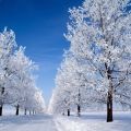 Natal de Inverno
