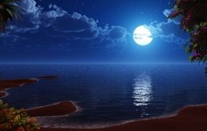 O Mar e a Lua