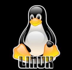linux