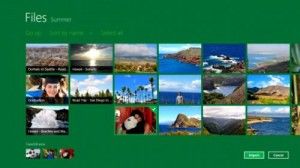 W8 Developer