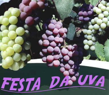 festa-da-uva