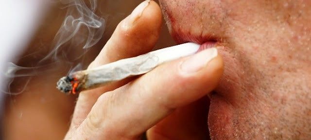 Os benefícios que a maconha traz à saúde