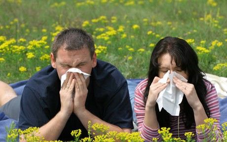 Como evitar as alergias de primavera