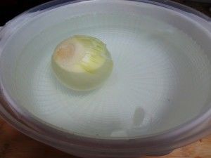 cebola-na-agua-antes-descascar