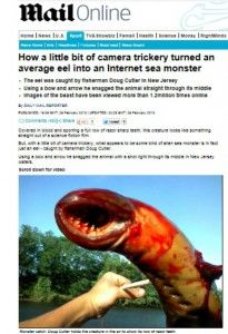 enguia-se-passa-por-monstro-do-mar
