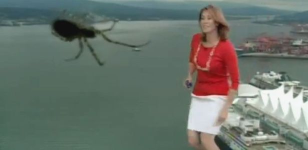 apresentadora-do-tempo-se-assusta-com-aranha