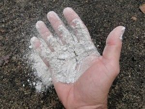 ladrao-confunde-cinzas-com-droga