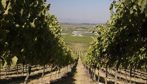 Vinho e boa paisagem – Conheça Santa Cruz