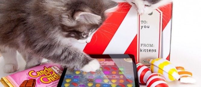 Candy Crush não tem planos para Windows Phone, diz King