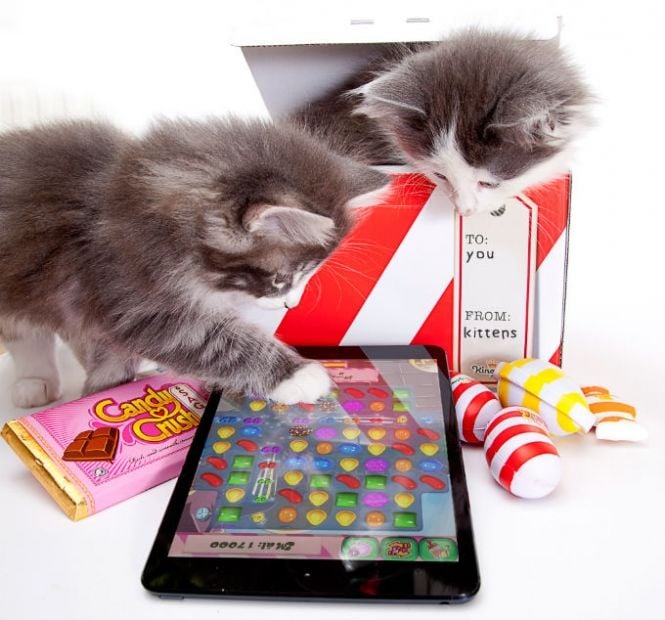 candy-crush-nao-tem-planos-para-windows-phone