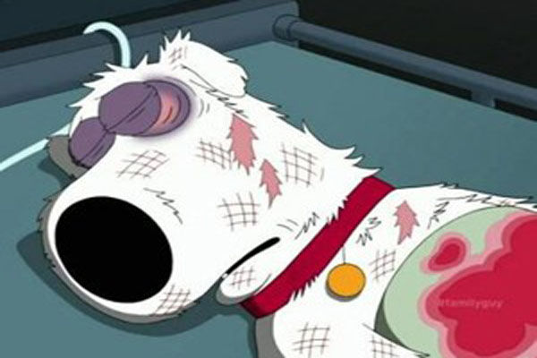 fas-de-family-guy-pedem-retorno-de-brian-griffin