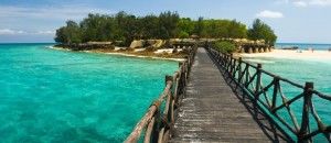 África selvagem: Visite o Parque Nacional do Serengueti e as praias da Tânzania