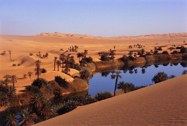 Oasis at Um Al Ma salt lake, Sahara desert, Ubari, Libya