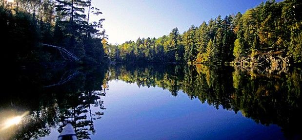 Pratique canoagem entre Estados Unidos e Canadá rodeado de uma natureza deslumbrante