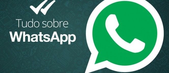WhatsApp: 5 dicas para você aproveitar ao máximo o aplicativo para celular