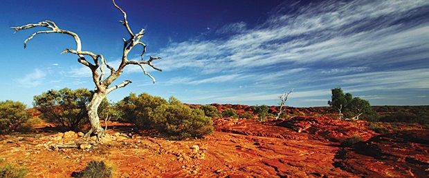 outback-australia