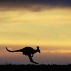 Outback de verdade! Conheça o deserto australiano, terra dos cangurus