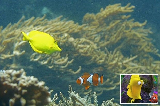 peixe-da-pixar