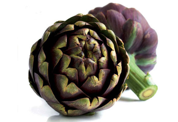 alcachofra
