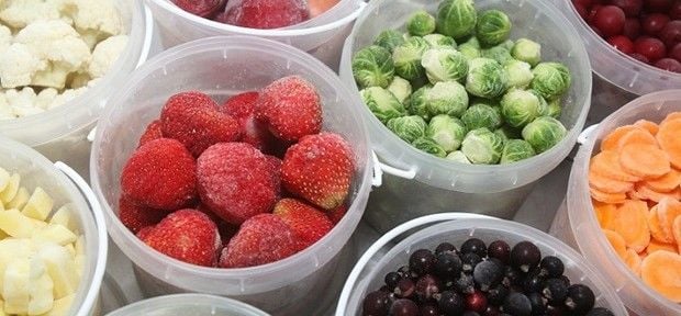 Quando e como congelar alimentos: O que é proibido?