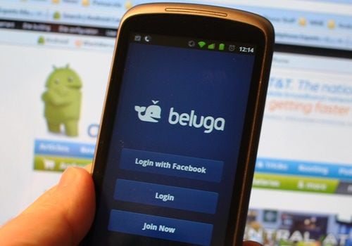 beluga