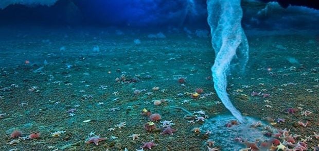 dedo-de-gelo-da-morte-antartica