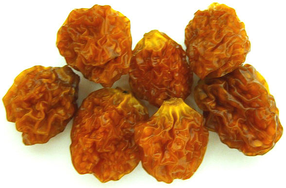 golden-berry