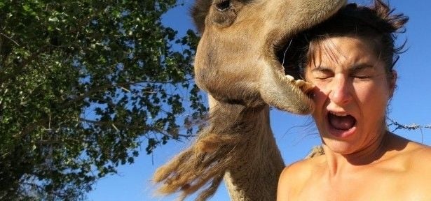 Você sabe o que é 'selfie'? Veja algumas fotos bizarras tiradas em situações estranhas