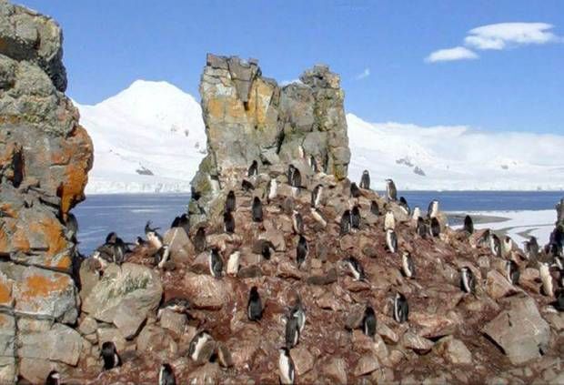 Imagem do Google Street View - Ilha Meia-Lua