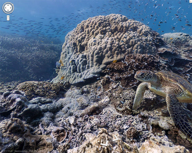 Google Street View Oceans na Austrália