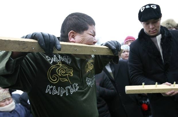 Mundo Estranho: mordida "power" Mundo Estranho: mordida "power"