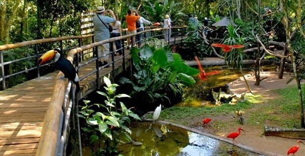 Parque das Aves em Foz do Iguaçu