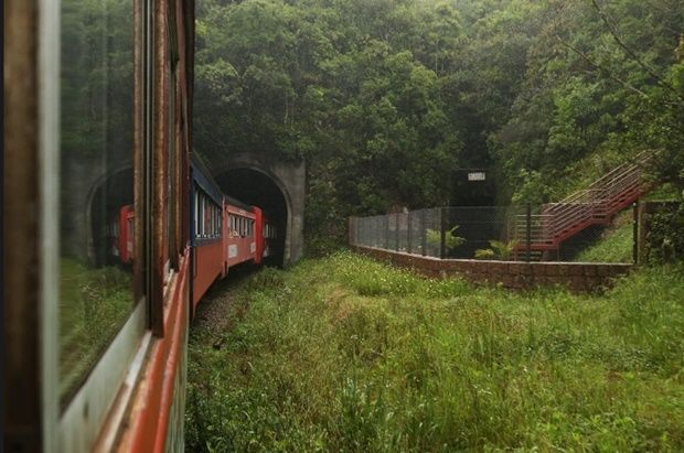 Mata Atlântica é um dos pontos turísticos de Curitiba (PR); Faça ecoturismo na Copa 2014